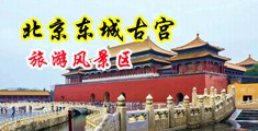 操逼操逼真人男女操逼免费让小视频中国北京-东城古宫旅游风景区
